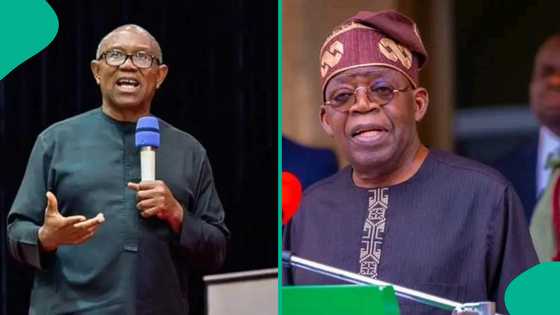 NDC: Peter Obi ya 'gano' shirin Tinubu na neman hana shi takara a 2027