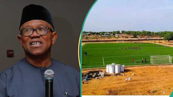 Peter Obi lambasts "corrupt" NFF leaders, labels them as real Yahoo boys