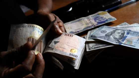 CBN abolishes multiple exchange rates as Naira falls in official market to N775 to a dollar