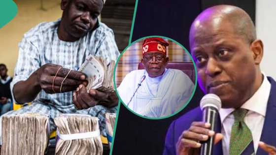 Naira falls to historic low as 1 dollar sells above N800, black market rate worsens