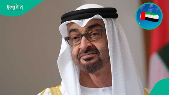 UAE announces 1-year residence visa for foreigners working remotely for companies abroad