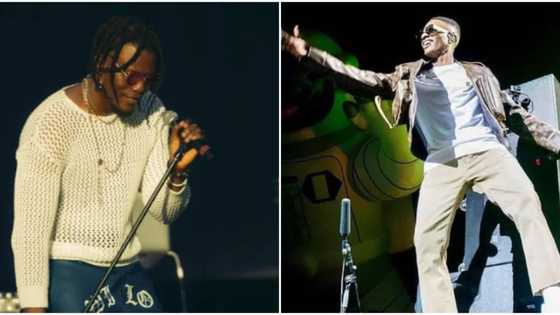 Dead this thinking asap: Pheelz tells Davido fan who claimed he is better than Wizkid, Nigerians commend him