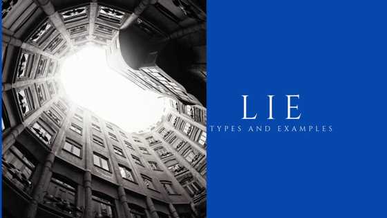Here are the types of lies that you might not even know about