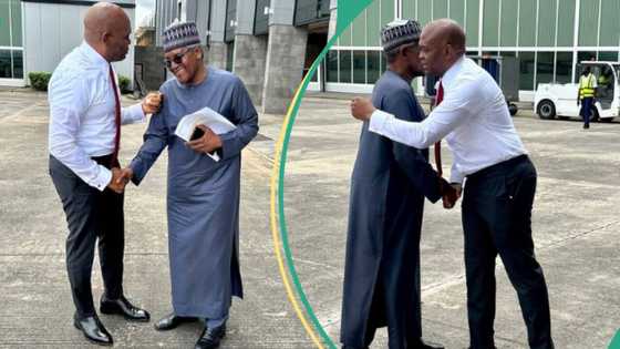 “Real big boys”: Tony Elumelu reveals Dangote’s nickname as he posts new photos with billionaire