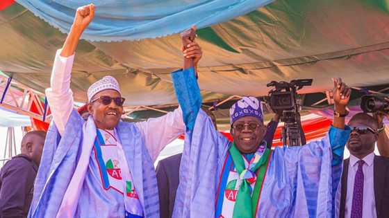 APC Suddenly Cancels Tinubu's Presidential Campaign Rally in Kano, Gives No Reason, Nigerians React