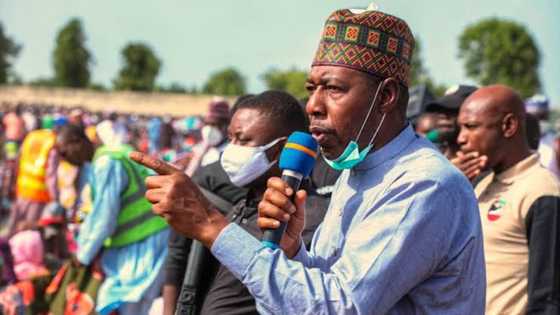 Tirkashi: Gwamnan APC, Zulum ya daga yatsa, ya haramta barace-barace a jiharsa