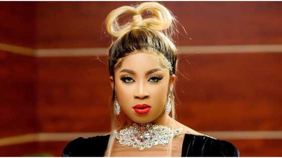 Actress Amarachi Igidimbah heartbroken as street children she helped return to old ways, video trends