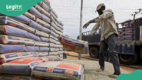 Dangote cement releases impressive result as price changes in the market
