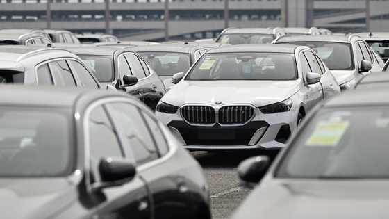 BMW warns on tariffs, China as 2024 profits plunge