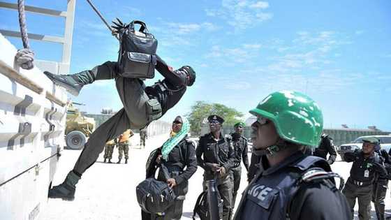 'Yan sandan Najeriya sun fi na kowace kasa kwarewa a duniya - IGP