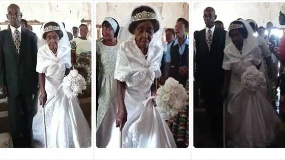 "She is a good example to others": Old woman in walking stick gets wedded to her husband, video goes viral