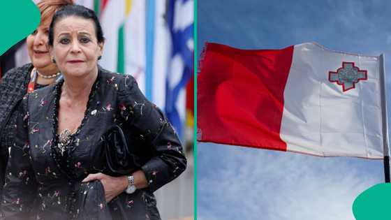 Malta lists 8 fields that could qualify foreigners for citizenship by merit