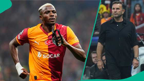 Galatasaray coach reacts after Victor Osimhen scores two goals against Bodo/Glimt