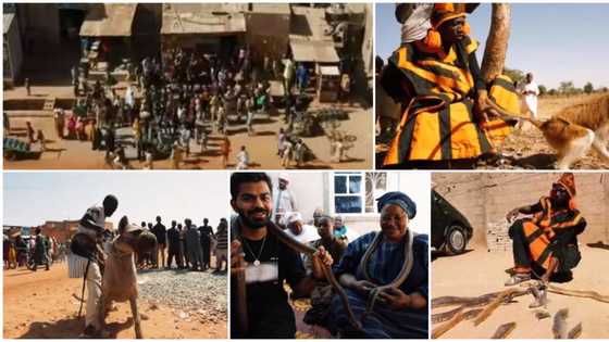 Nigerian man who lives with a wild hyena and snakes amongst his family goes viral, video wows many