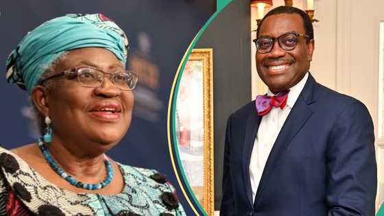 Okonjo-Iweala: List of Nigerians holding top positions in global institutions