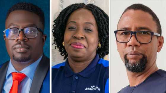Karl Toriola, Funke Opeke, others on Legit.ng List of Most Outstanding Business Personalities in Telecommunication