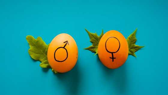 Male and female signs: Top facts about their origin, uses, and meaning