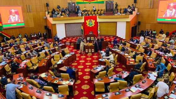 Video goes viral as lawmakers in African country engage in free for all fight