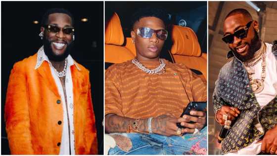 "Davido & Wizkid no reach Burna Boy": Man sparks heated reactions as he compares the 3 music giants in Nigeria