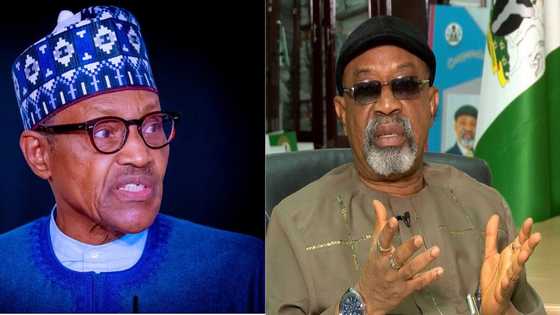 Ya Kamata Ace An Bi Dokar Tsarin Mafi Karancin Albashi Dan Bukasa Kasar Nan, Ministan Buhari