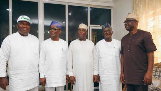 5 reasons why Atiku rejected Wike as running mate, new report reveals
