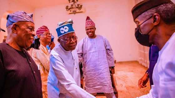 Photos of Tinubu, Osinbajo, other Southwest APC aspirants discussing behind closed doors after meeting Buhari
