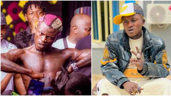 “Small Doctor do pass like this”: Nigerians react to clip as Portable falls off a speaker, video trends