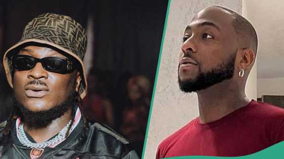 Peruzzi boasts of writing Assurance with OBO, 30 BG drags him: "Na u need upper cut wey Davido talk"