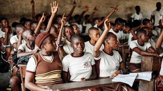 Problems of education in Nigeria in 2024 and potential solutions