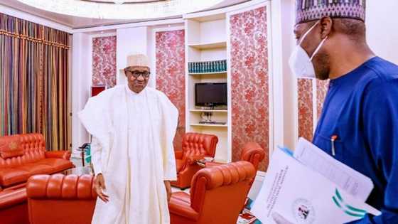 Annobar covid-19 ta sake hallaka mutane uku a Maiduguri