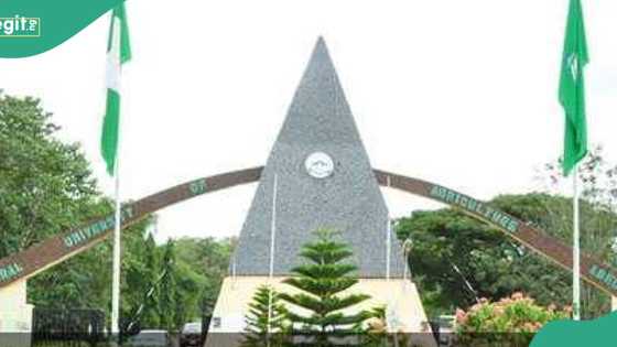 FUNAAB reacts as religious protesters disrupt academic, business activities