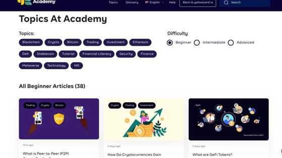 Why You Must Learn About Crypto Now - A Yellow Card Guide to Financial Literacy