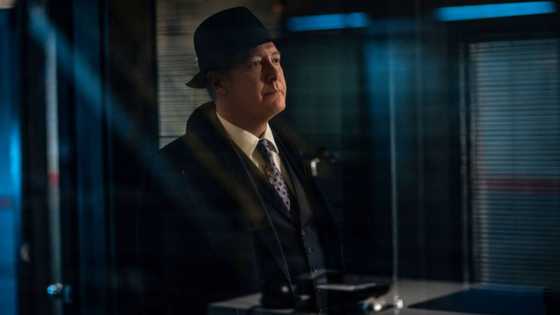 La saison 9 de Blacklist est déjà sortie : ce qu'il faut savoir