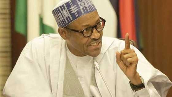 Ba Zaku Tsira Ba, Sai Na Hukunta Ku: Buhari Ga Wadanda Suka Kashe Ahmed Gulak