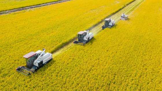 China announces $137 bn sovereign bond issuance