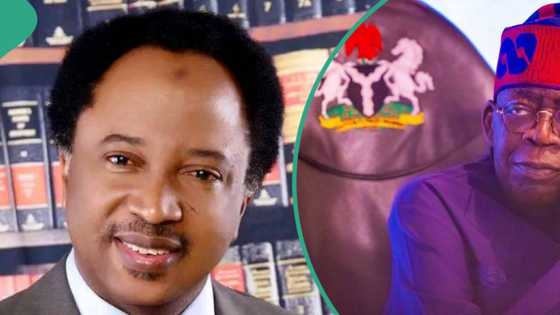 “Tinubu has two issues”: Shehu Sani reveals how some ex-govs in president’s cabinet are liabilities