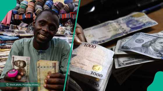 Black market dollar rate jumps to N1,400/$ as Nigeria’s FX market shows fresh cracks