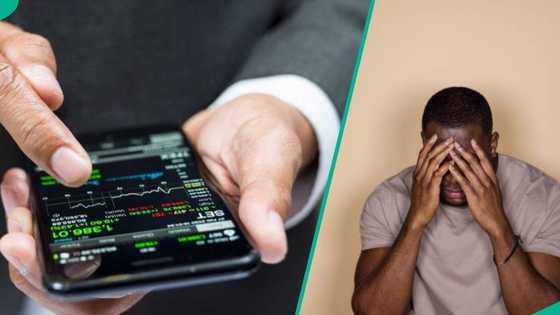 XM: Another Ponzi investment scheme crashes as organisers disappear, shut down office