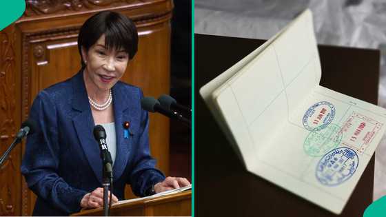 Japan publishes required documents for foreign workers to get skilled labour visa