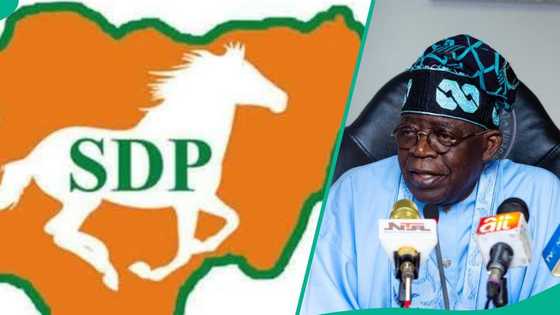 Hasashen El Rufai ya tabbata, SDP mai kokarin kwace mulki ta shiga Matsala