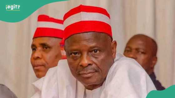 Ka daina sa baki: Kungiyar Arewa ta ja kunnen Kwankwaso saboda kalamansa