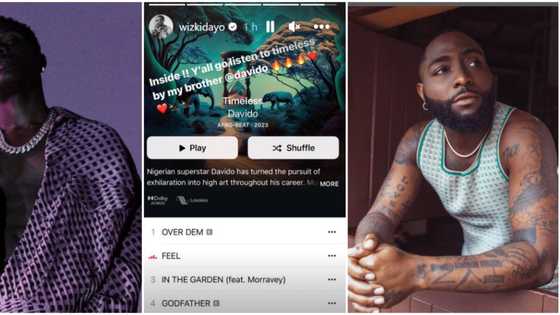 More Love Less Ego: "Y’all go listen to Timeless by my brother," Wizkid carries Davido’s album on his head like gala