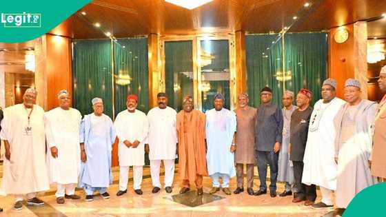 Gwamnonin 1999 sun nemi Tinubu ya ajiye raba tallafi, ya samar da ayyuka ga matasa