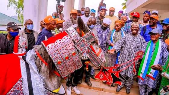 Osun 2022: Aregbesola, TOP in serious trouble as Akande gifts Oyetola horse to ride to power