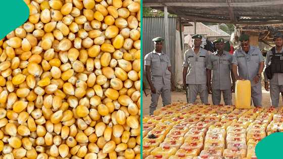 FG releases list of food, other items not allowed to be exported out of Nigeria in 2026