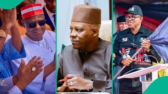 "Bogus statistics": Kwankwaso reacts to Shettima's attack on Peter Obi