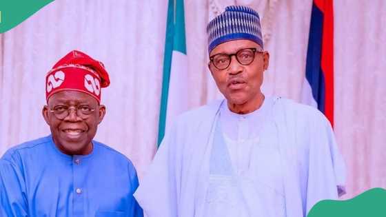 Why Buhari can no longer escape to Niger Republic, Tinubu speaks