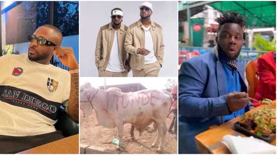 Mufasa Tunde Ednut @37: 6 Nigerian celebrities that donated cows for the blogger's birthday