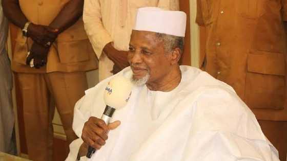 Goyon Bayan Takarar Gawuna a Kano: Alhaji Aminu Dantata Ya Fito Fili Ya Bayyana Gaskiyar Magana