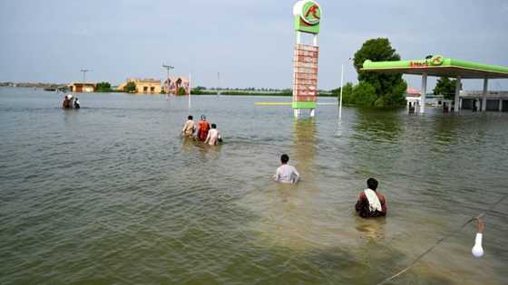 'Nobody knows where their village is': New inland sea swamps Pakistan